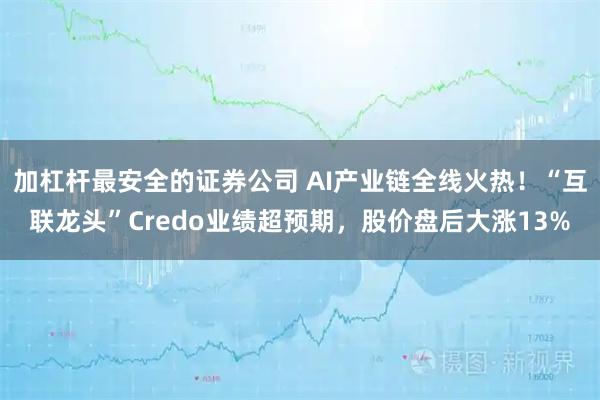 加杠杆最安全的证券公司 AI产业链全线火热！“互联龙头”Credo业绩超预期，股价盘后大涨13%